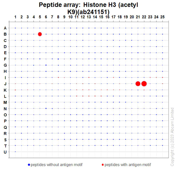 Peptide Array - Anti-Histone H3 (acetyl K9) antibody [EPR21239] (AB241151)