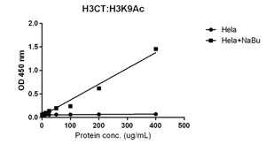 ELISA - Anti-Histone H3 (acetyl K9) antibody [RM161] (AB218553)