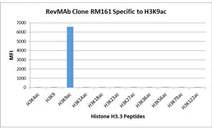 ELISA - Anti-Histone H3 (acetyl K9) antibody [RM161] (AB218553)