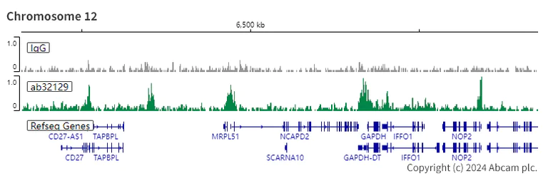 ChIC/CUT&RUN sequencing - Anti-Histone H3 (acetyl K9) antibody [Y28] - ChIP Grade (AB32129)