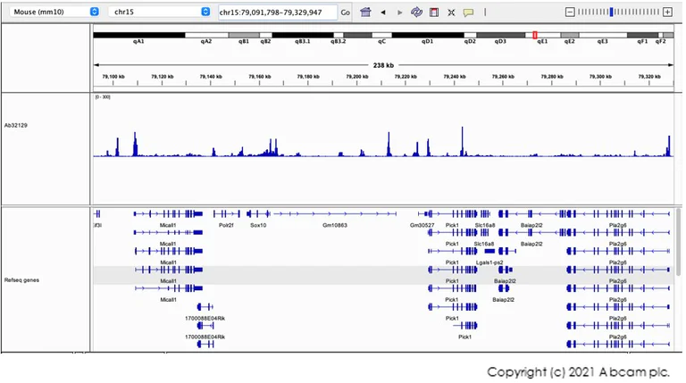 CUT&Tag sequencing - Anti-Histone H3 (acetyl K9) antibody [Y28] - ChIP Grade (AB32129)