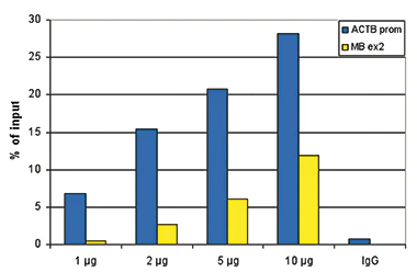 ChIP - Anti-Histone H3 (acetyl K9 + K14) antibody (AB232952)