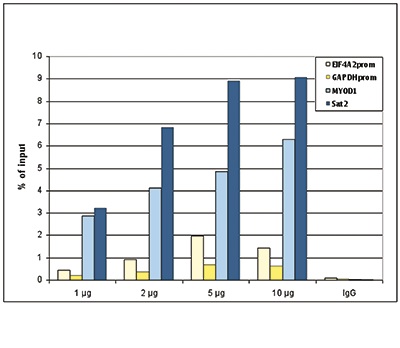 ChIP - Anti-Histone H3 antibody [1B1B2] - Nuclear Marker and ChIP Grade (AB195277), expandable thumbnail