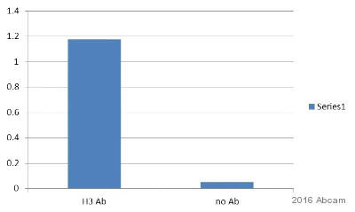 ChIP - Anti-Histone H3 antibody - Nuclear Marker and ChIP Grade (AB1791)