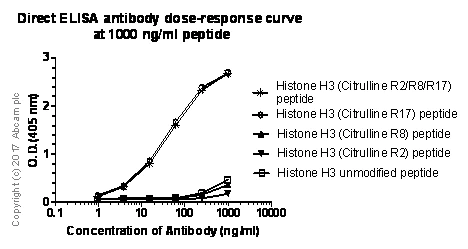 ELISA - Anti-Histone H3 (citrulline R17) antibody [EPR20358-120] (AB219407)