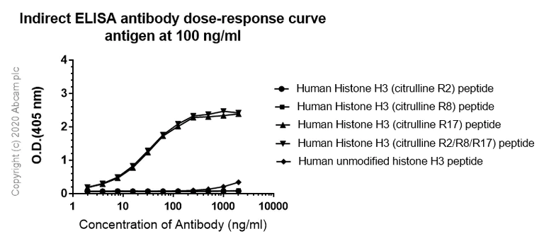 Indirect ELISA - Anti-Histone H3 (citrulline R17) antibody [EPR20358-120] - BSA and Azide free (AB232938)