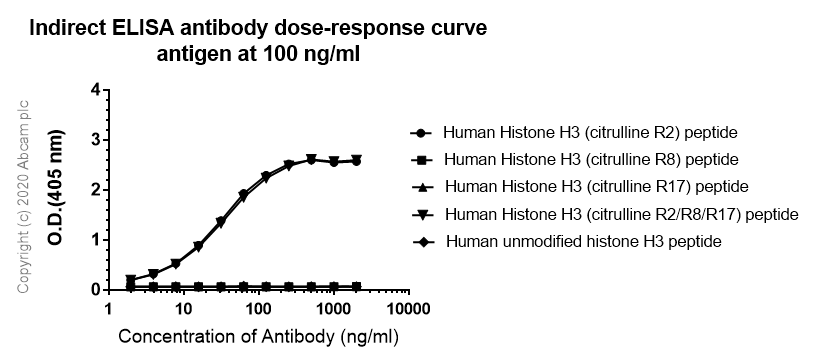 Indirect ELISA - Anti-Histone H3 (citrulline R2) antibody [EPR17703] - BSA and Azide free (AB203954), expandable thumbnail