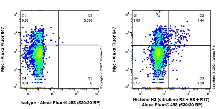 Flow Cytometry (Intracellular) - Anti-Histone H3 (citrulline R2 + R8 + R17) antibody [RM1001] (AB281584)