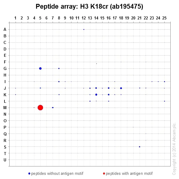 Peptide Array - Anti-Histone H3 (crotonyl K18) antibody [EPR18773] - BSA and Azide free (AB251209)