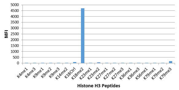 ELISA - Anti-Histone H3 (di methyl K18) antibody [RM168] (AB214726)