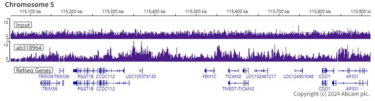 ChIP-sequencing - Anti-Histone H3 (di methyl K36) antibody [EPR28335-73] (AB318964)