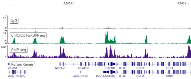 ChIC/CUT&RUN sequencing - Anti-Histone H3 (di methyl K4) antibody [EPR17707] - ChIP Grade (ab176878), expandable thumbnail