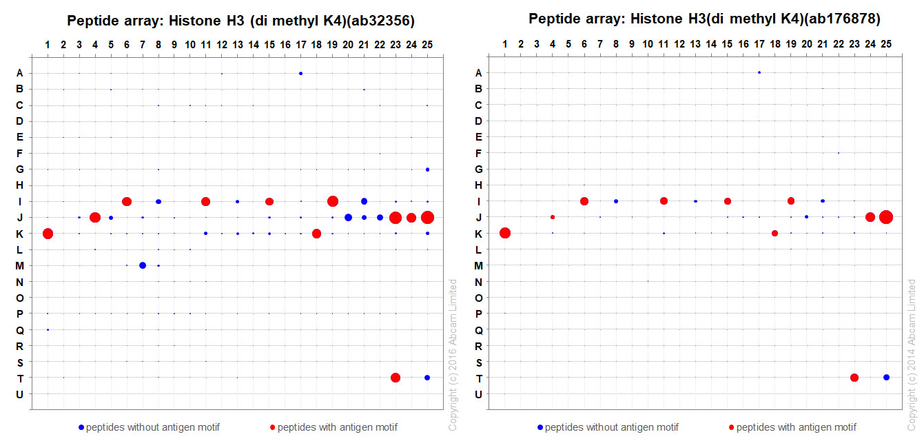 Peptide Array - Anti-Histone H3 (di methyl K4) antibody [Y47] - BSA and Azide free (ab173324), expandable thumbnail