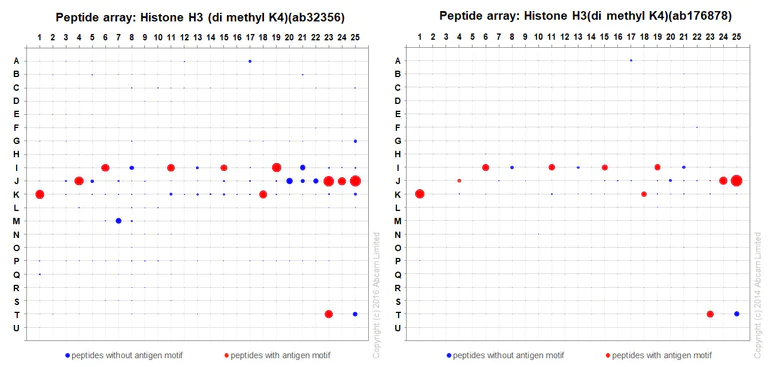 Peptide Array - Anti-Histone H3 (di methyl K4) antibody [Y47] - ChIP Grade (AB32356)