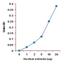 Functional Studies - Histone H3 (K27) Methyltransferase Activity Quantification Assay Kit (AB113454), expandable thumbnail