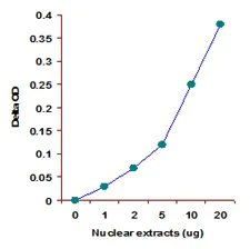 Functional Studies - Histone H3 (K27) Methyltransferase Activity Quantification Assay Kit (AB113454)