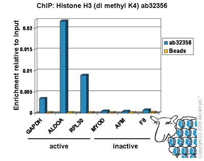 ChIP - Histone H3 (K4 methylation) Panel (mono methyl K4, di methyl K4, tri methyl K4) (AB103938)