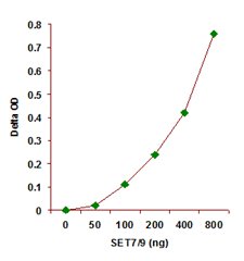 Functional Studies - Histone H3 (K4) Methyltransferase Activity Quantification Assay Kit (AB113452), expandable thumbnail