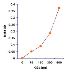 Functional Studies - Histone H3 (K9) Methyltransferase Activity Quantification Assay Kit (AB113453)