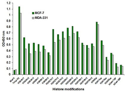 ELISA - Histone H3 Modification Multiplex Assay Kit (Colorimetric) (AB185910)