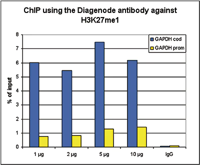ChIP - Anti-Histone H3 (mono methyl K27) antibody (AB195492)
