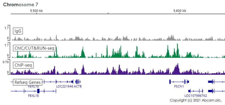 ChIC/CUT&RUN sequencing - Anti-Histone H3 (mono methyl K4) antibody [ERP16597] - ChIP Grade (AB176877)