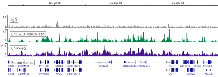 ChIC/CUT&RUN sequencing - Anti-Histone H3 (mono methyl K4) antibody [ERP16597] - ChIP Grade (ab176877), expandable thumbnail