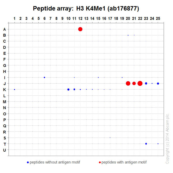 Peptide Array - Anti-Histone H3 (mono methyl K4) antibody [ERP16597] - ChIP Grade (ab176877), expandable thumbnail