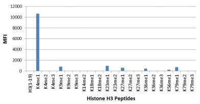 ELISA - Anti-Histone H3 (mono methyl K4) antibody [RM140] (AB205256)