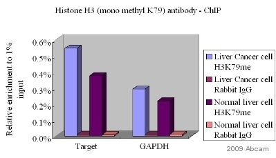 ChIP - Anti-Histone H3 (mono methyl K79) antibody - ChIP Grade (AB2886), expandable thumbnail