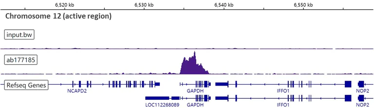 ChIP-sequencing - Anti-Histone H3 (mono+di+tri methyl K79) antibody [EPR17468] - BSA and Azide free (AB240197)