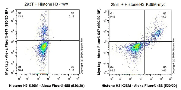 Flow Cytometry (Intracellular) - Anti-Histone H3 (mutated K36M) antibody [EPR23614-91] (AB256384)