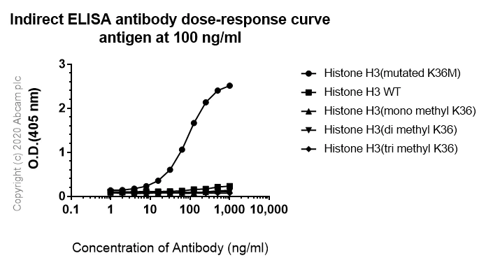 Indirect ELISA - Anti-Histone H3 (mutated K36M) antibody [EPR23614-91] - BSA and Azide free (AB270796)