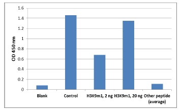 Functional Studies - Histone H3 Peptide Array Kit (96-well plate-based) (AB233494), expandable thumbnail