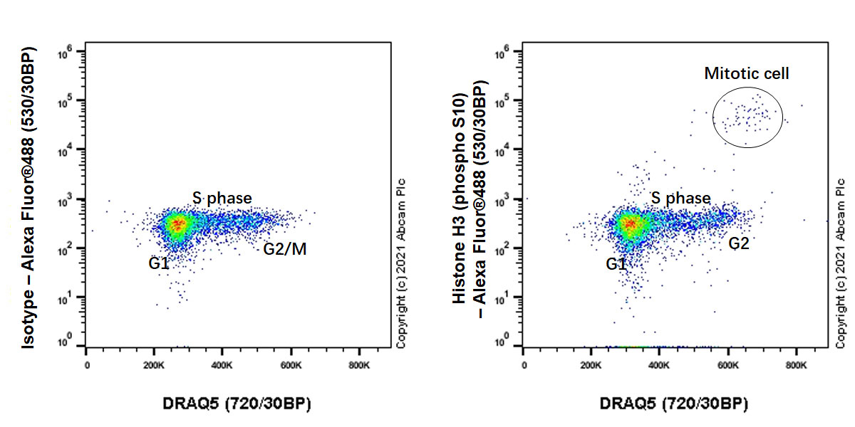 Flow Cytometry - Anti-Histone H3 (phospho S10) antibody [EPR24060-36] (AB267372), expandable thumbnail