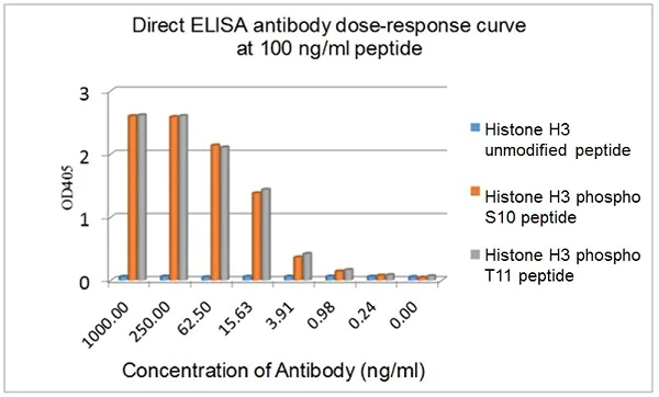 ELISA - Anti-Histone H3 (phospho S10 + T11) antibody [E173] (AB32107)