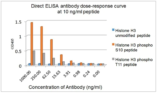 ELISA - Anti-Histone H3 (phospho S10 + T11) antibody [E173] (AB32107)