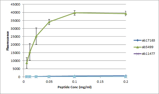 Peptide Array - Anti-Histone H3 (phospho S28) antibody (AB5169)