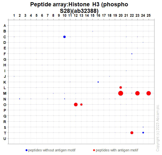 Peptide Array - Anti-Histone H3 (phospho S28) antibody [E191] - BSA and Azide free (AB215532)