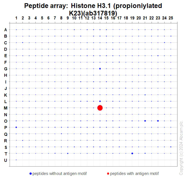 Peptide Array - Anti-Histone H3 (propionyl K23) antibody [EPR28672-86] - BSA and Azide free (AB317820)