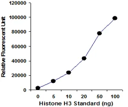 Functional Studies - Histone H3 Total Quantification Kit (Fluorometric) (AB115092)