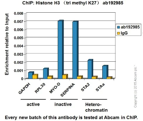 ChIP - Anti-Histone H3 (tri methyl K27) antibody [EPR18607] - BSA and Azide free (AB222481)