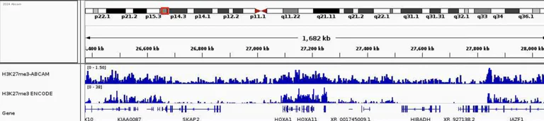 ChIP-sequencing - Anti-Histone H3 (tri methyl K27) antibody [EPR18607] - ChIP Grade (AB192985)