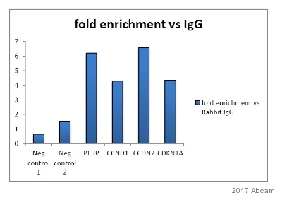 ChIP - Anti-Histone H3 (tri methyl K27) antibody [mAbcam 6002] - ChIP Grade (AB6002)