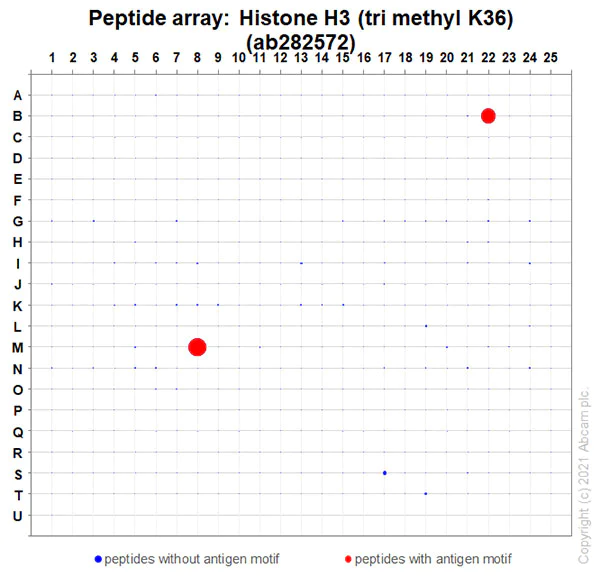 Peptide Array - Anti-Histone H3 (tri methyl K36) antibody [EPR23525-232] - BSA and Azide free (AB282596)