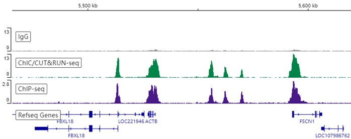 ChIC/CUT&RUN sequencing - Anti-Histone H3 (tri methyl K4) antibody [EPR20551-225] - ChIP Grade (ab213224), expandable thumbnail