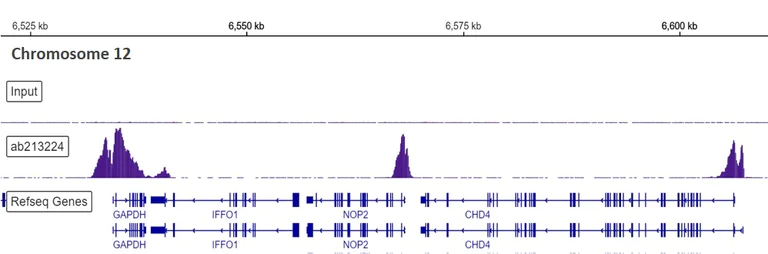 ChIP-sequencing - Anti-Histone H3 (tri methyl K4) antibody [EPR20551-225] - ChIP Grade (AB213224)