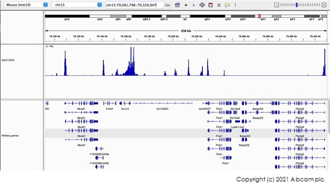 CUT&Tag - Anti-Histone H3 (tri methyl K4) antibody [EPR20551-225] - ChIP Grade (ab213224), expandable thumbnail