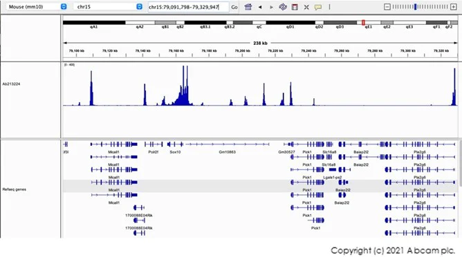 CUT&Tag - Anti-Histone H3 (tri methyl K4) antibody [EPR20551-225] - ChIP Grade (AB213224)