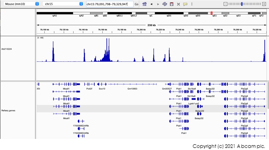 CUT&Tag sequencing - Anti-Histone H3 (tri methyl K4) antibody [EPR20551-225] - ChIP Grade (AB213224), expandable thumbnail